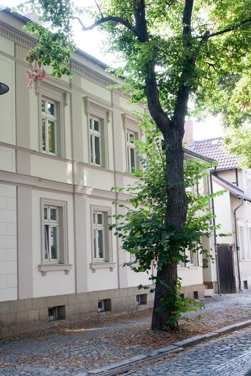 奎德林堡Wohnen Im Denkmal公寓 外观 照片